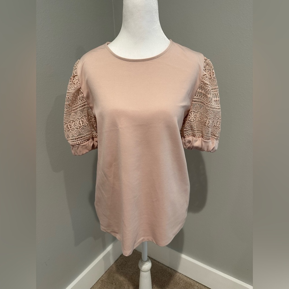 Express Lace Puff Sleeve Blush Top